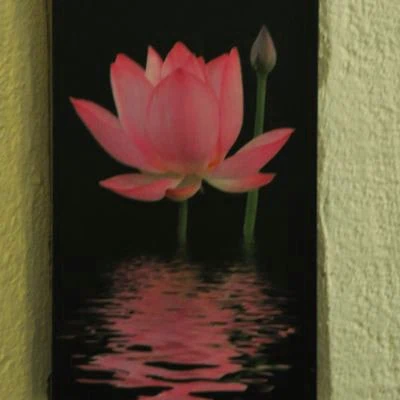 Thai Massage Zürich Seefeld